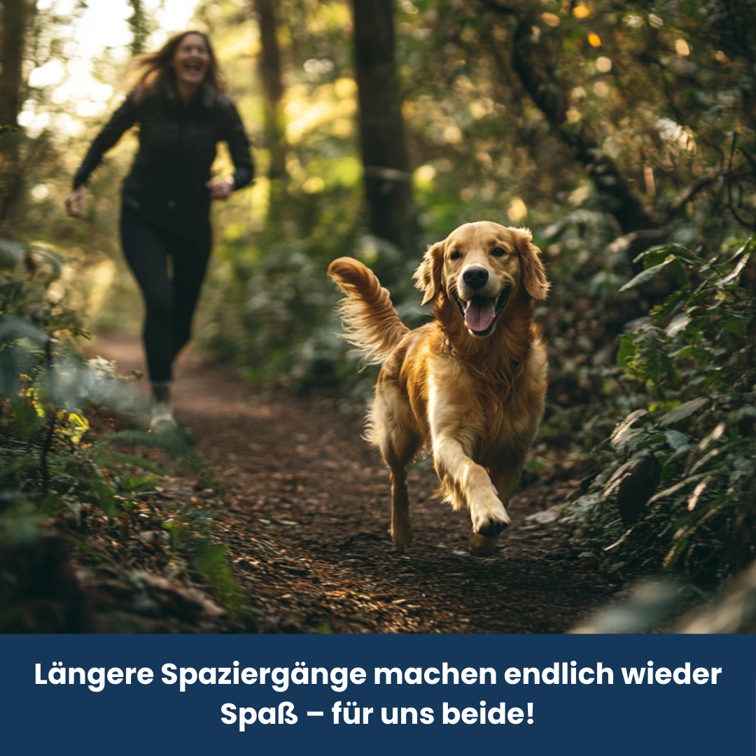 Agility Complete – Die Lösung für mehr Beweglichkeit & starke Gelenke