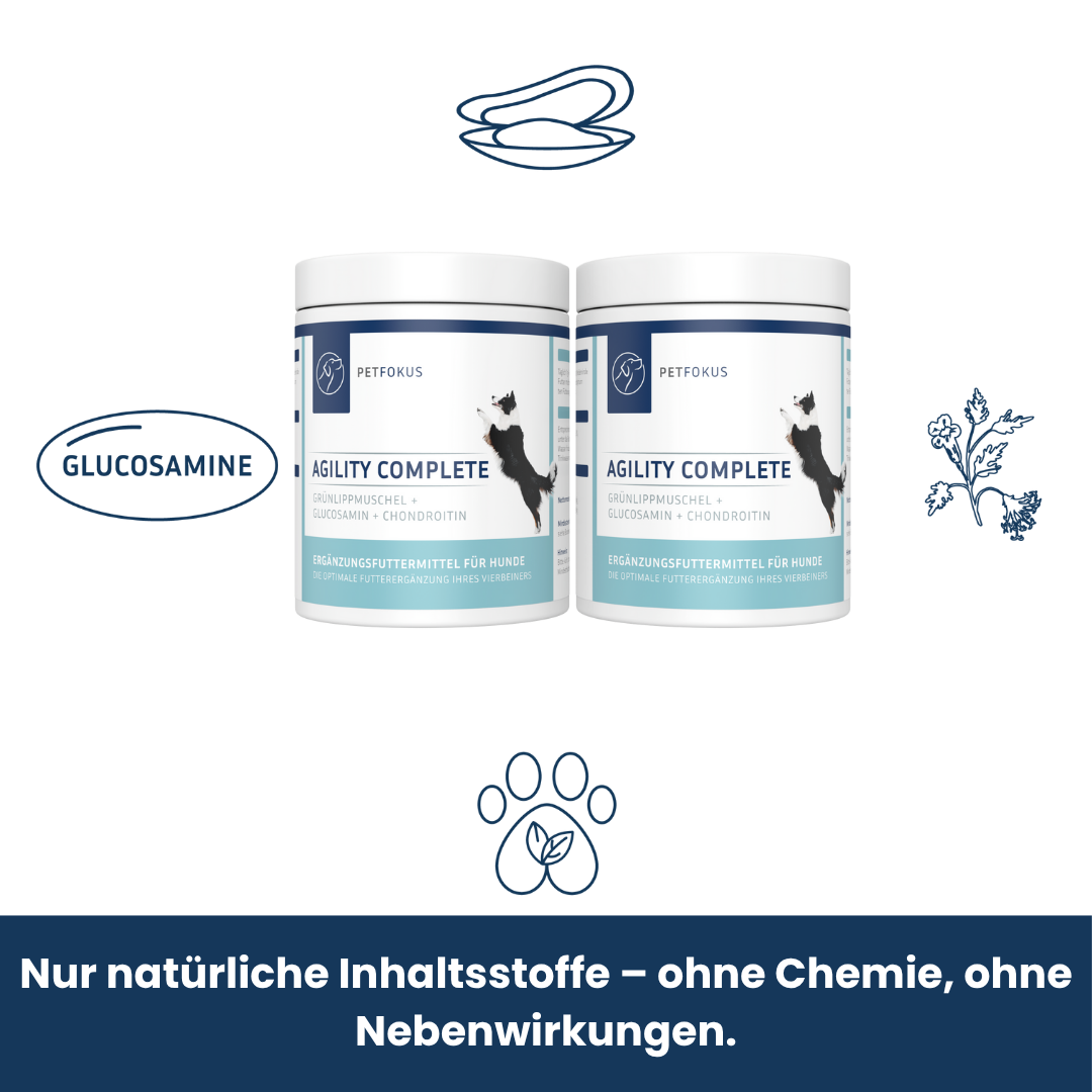 Agility Complete – Die Lösung für mehr Beweglichkeit & starke Gelenke