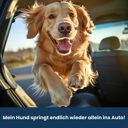 Agility Complete – Die Lösung für mehr Beweglichkeit & starke Gelenke