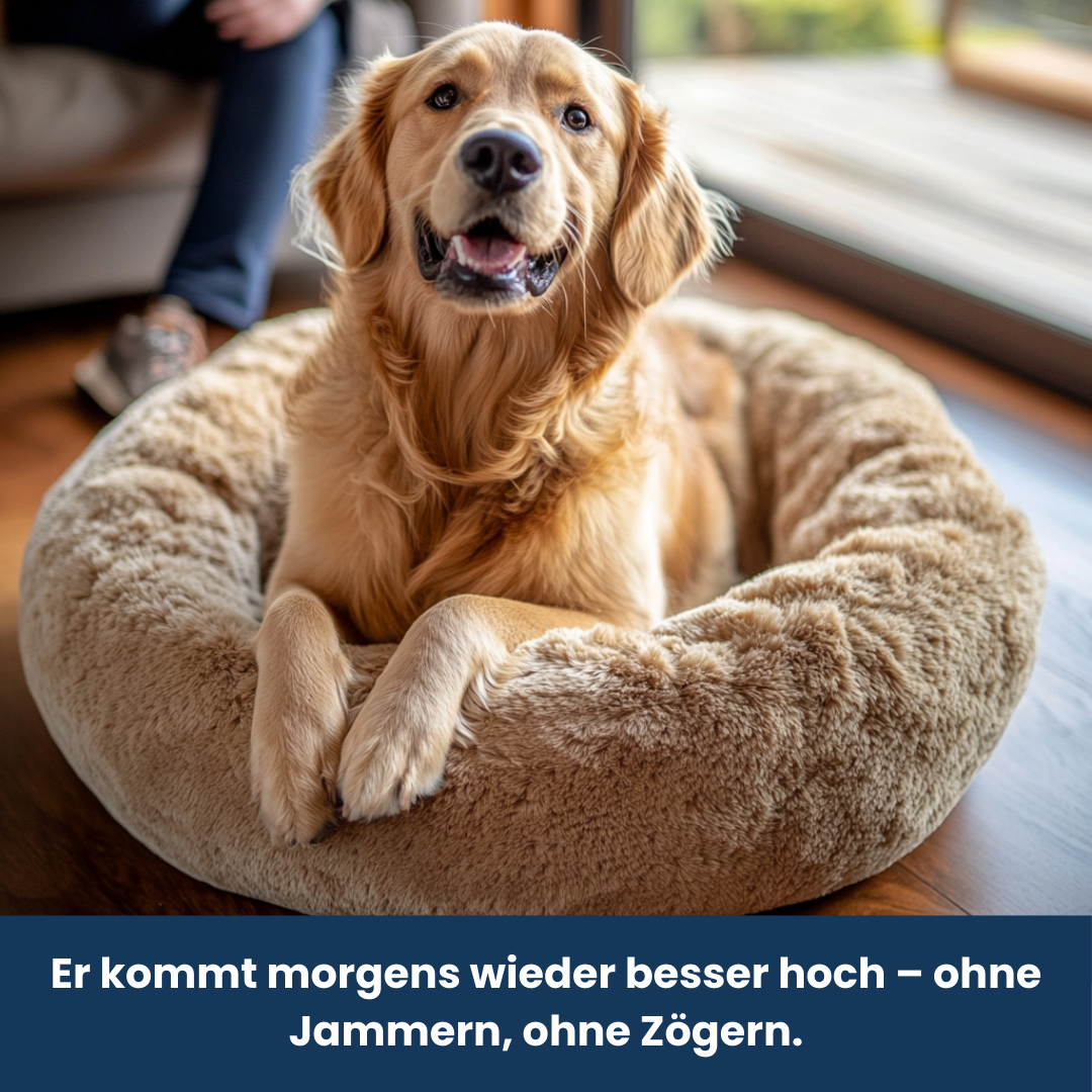 Agility Complete – Die Lösung für mehr Beweglichkeit & starke Gelenke