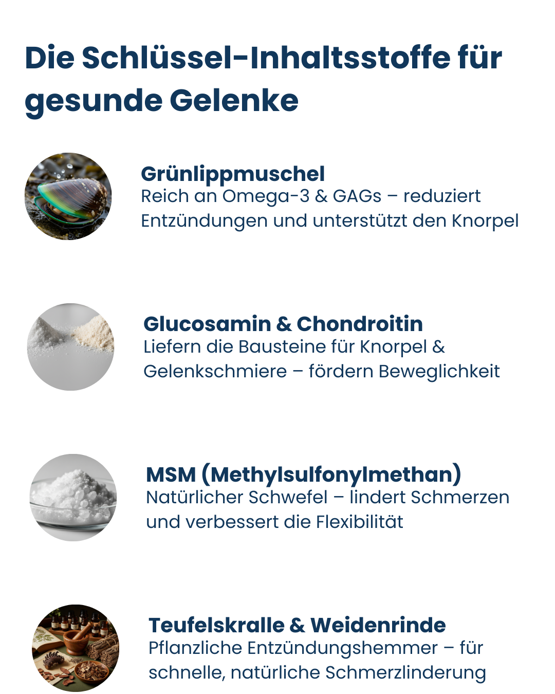 Agility Complete – Die Lösung für mehr Beweglichkeit & starke Gelenke