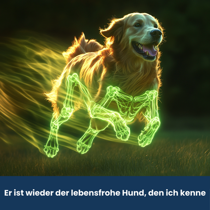 Agility Complete – Die Lösung für mehr Beweglichkeit & starke Gelenke
