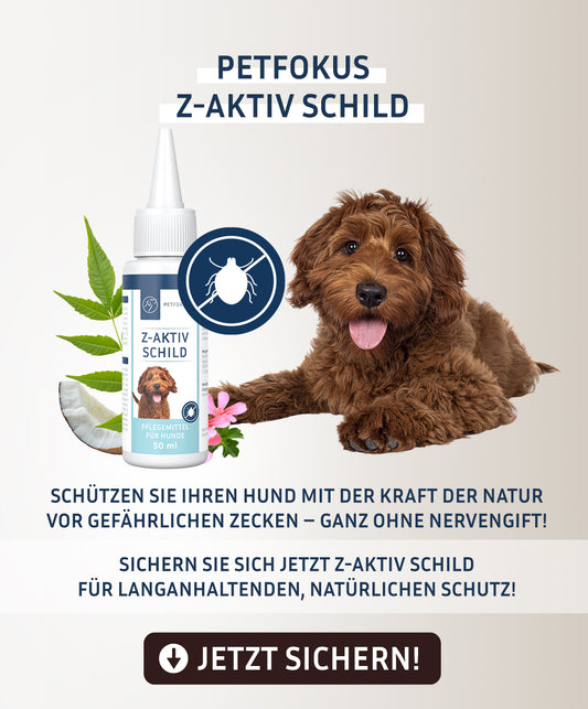 Z-Aktiv Schild